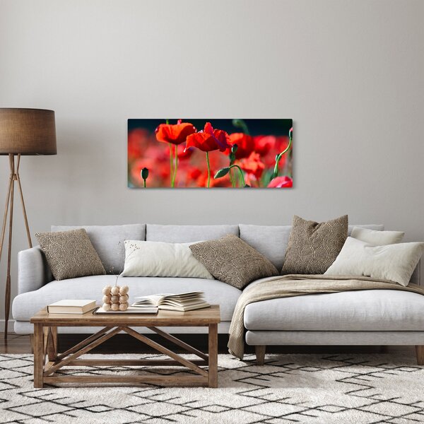 Slika - makovi (120x50 cm)