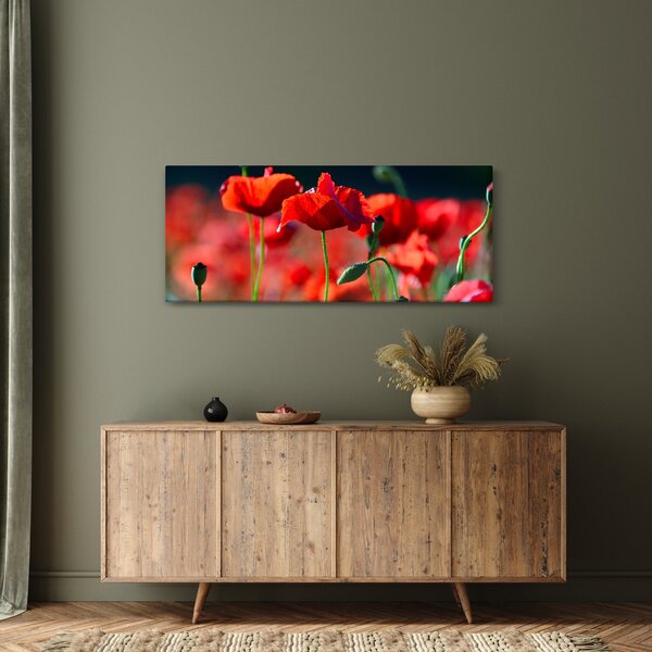 Slika - makovi (120x50 cm)