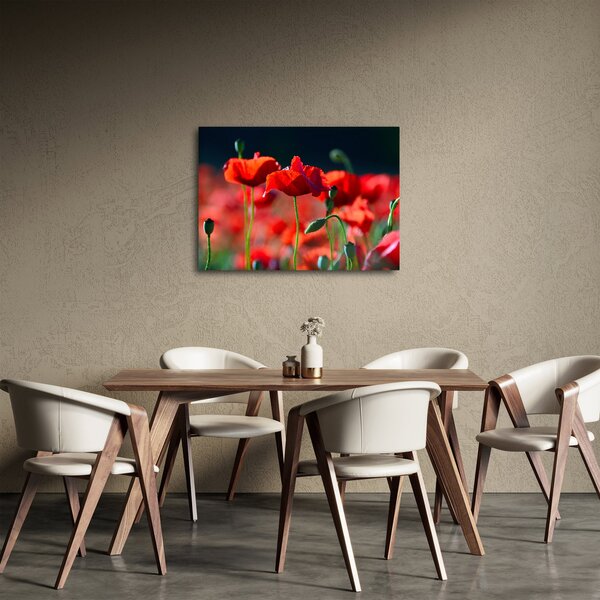 Slika - makovi (70x50 cm)