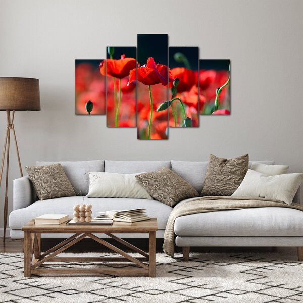 Slika - makovi (150x105 cm)