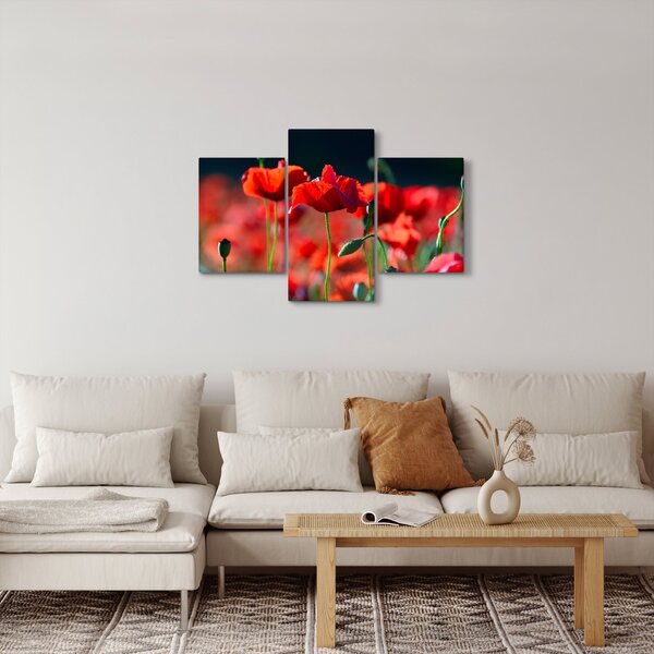 Slika - makovi (90x60 cm)