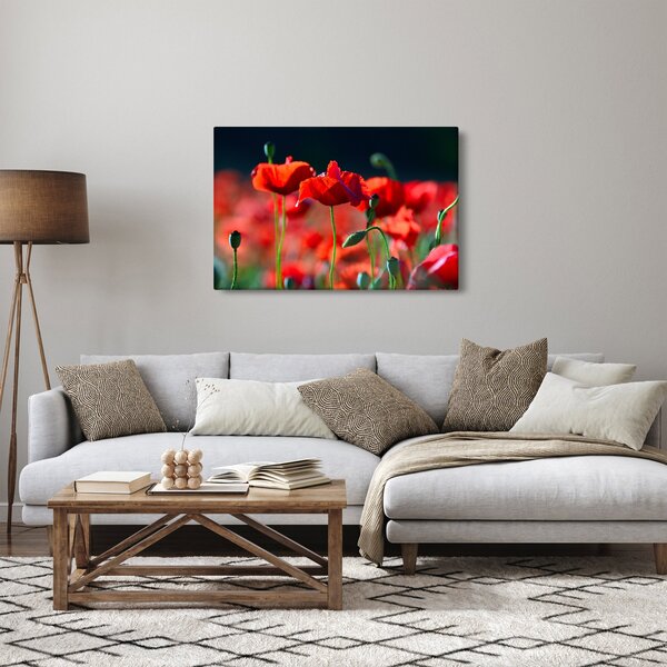 Slika - makovi (90x60 cm)
