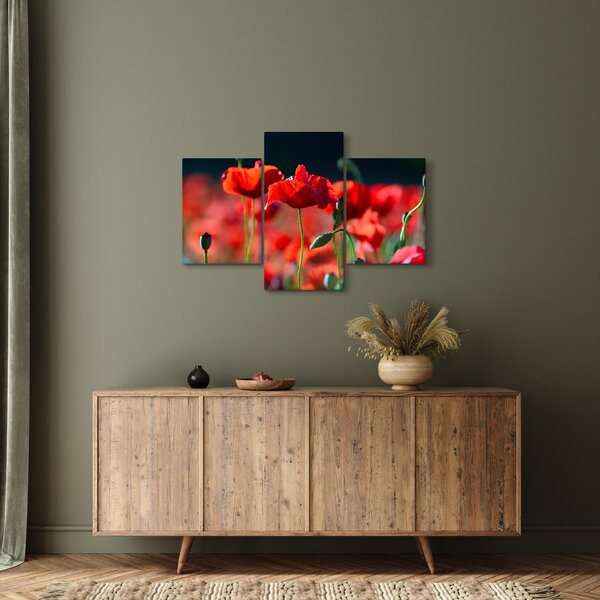 Slika - makovi (90x60 cm)