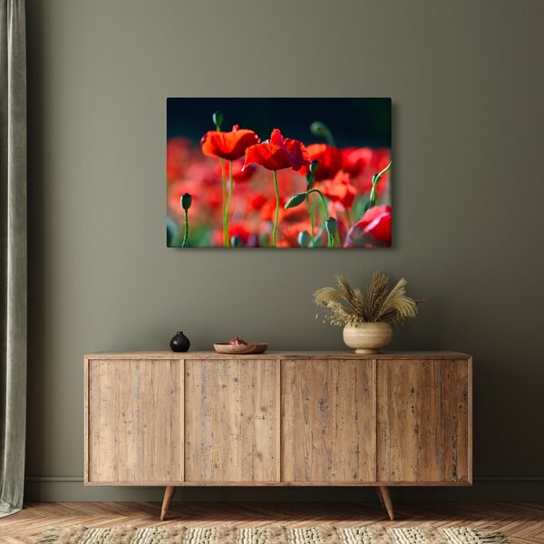 Slika - makovi (90x60 cm)