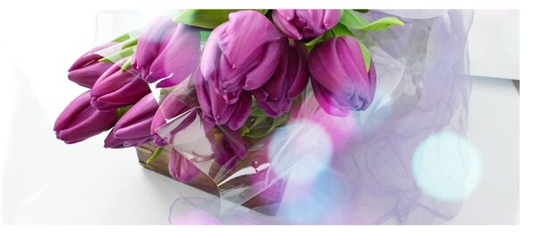Slika - buket tulipana (120x50 cm)