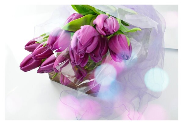 Slika - buket tulipana (90x60 cm)