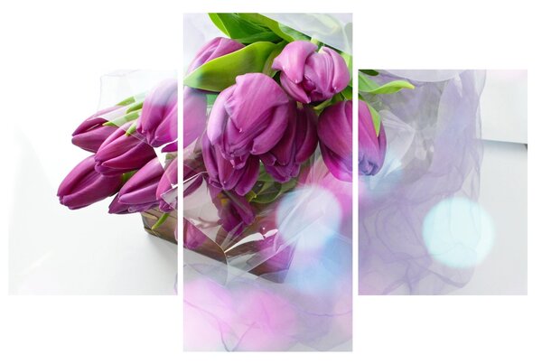 Slika - buket tulipana (90x60 cm)