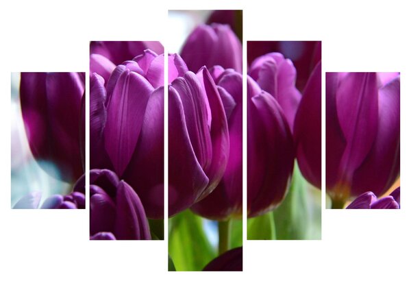 Slika tulipana (150x105 cm)