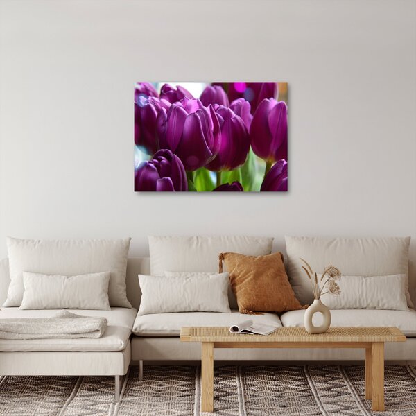 Slika tulipana (70x50 cm)