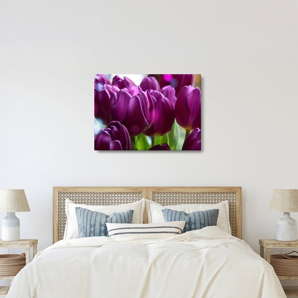 Slika tulipana (70x50 cm)