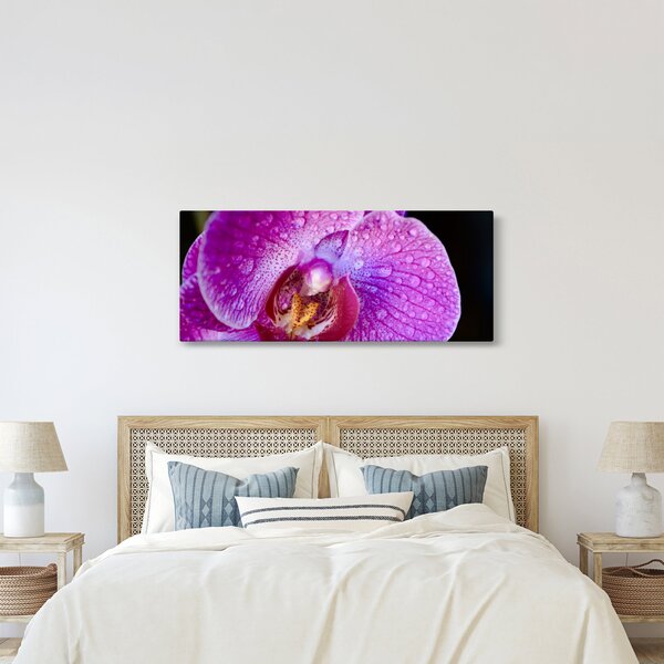 Detajlna slika cvijeta orhideje (120x50 cm)