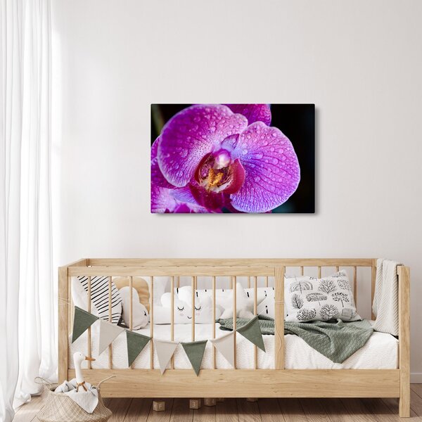 Detajlna slika cvijeta orhideje (90x60 cm)