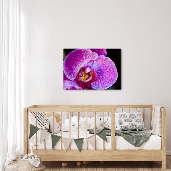 Detajlna slika cvijeta orhideje (70x50 cm)