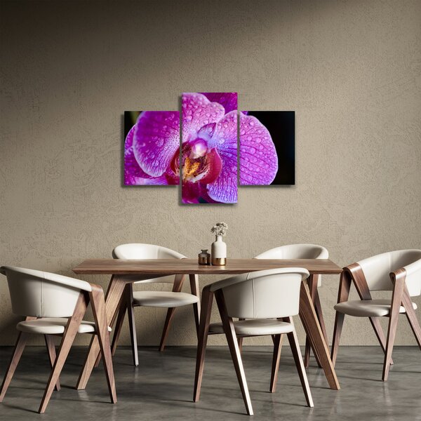 Detajlna slika cvijeta orhideje (90x60 cm)