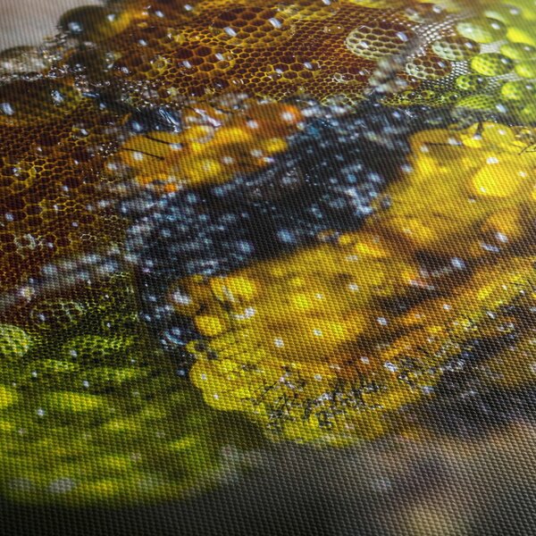 Detaljna slika očiju kukca (120x50 cm)