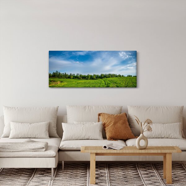 Slika livade (120x50 cm)