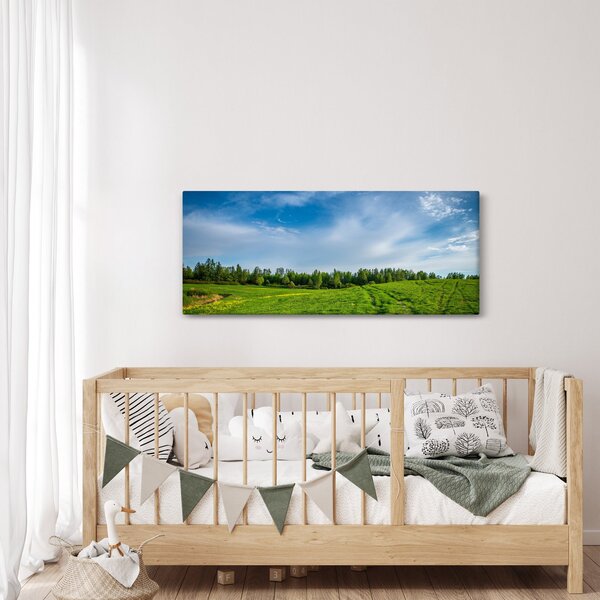 Slika livade (120x50 cm)