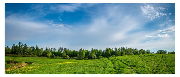 Slika livade (120x50 cm)