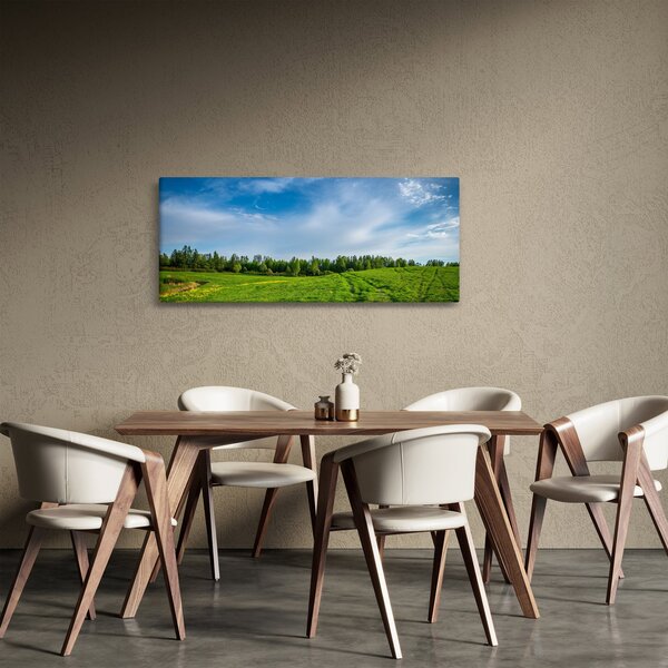 Slika livade (120x50 cm)