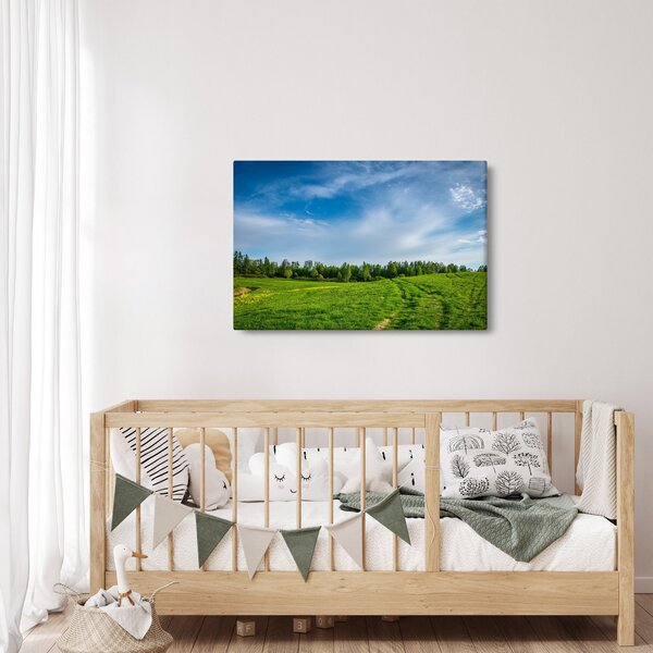Slika livade (90x60 cm)