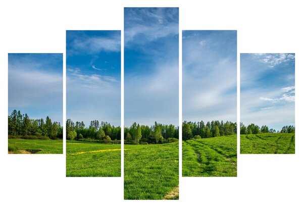 Slika livade (150x105 cm)