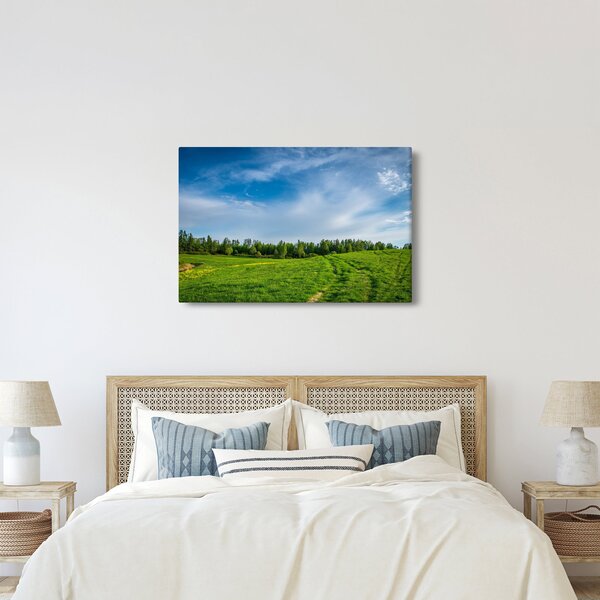 Slika livade (90x60 cm)