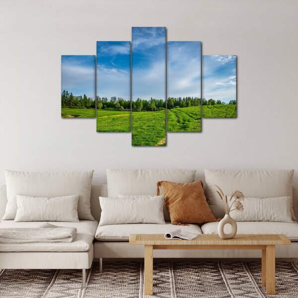 Slika livade (150x105 cm)