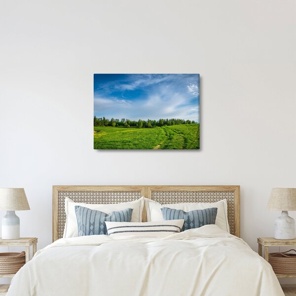 Slika livade (70x50 cm)
