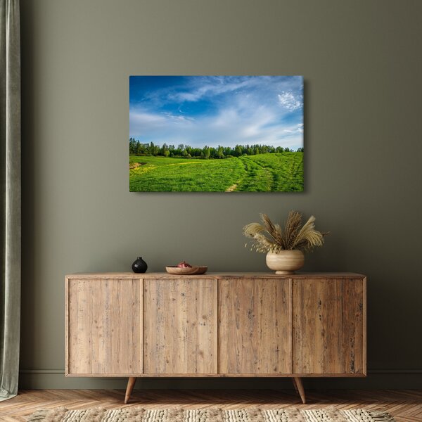 Slika livade (90x60 cm)