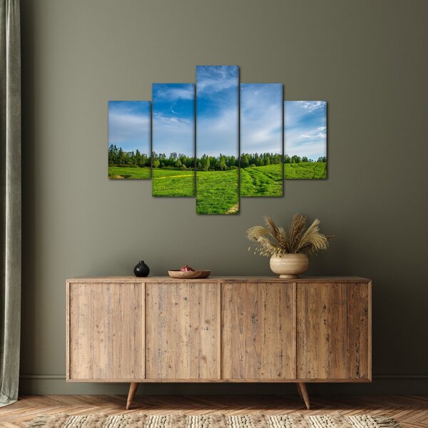 Slika livade (150x105 cm)