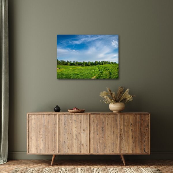 Slika livade (70x50 cm)