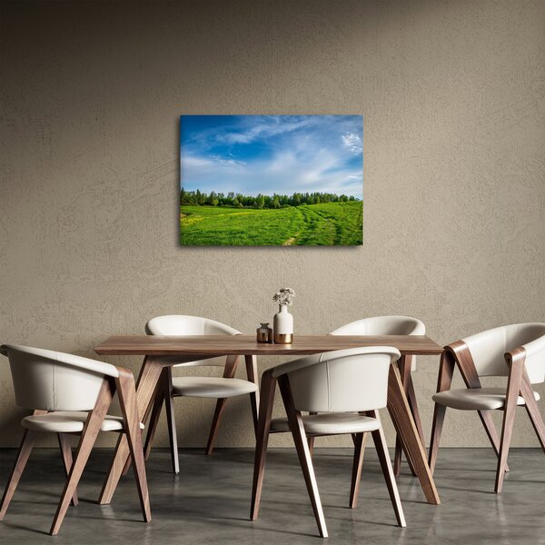Slika livade (70x50 cm)
