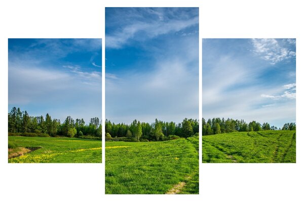 Slika livade (90x60 cm)