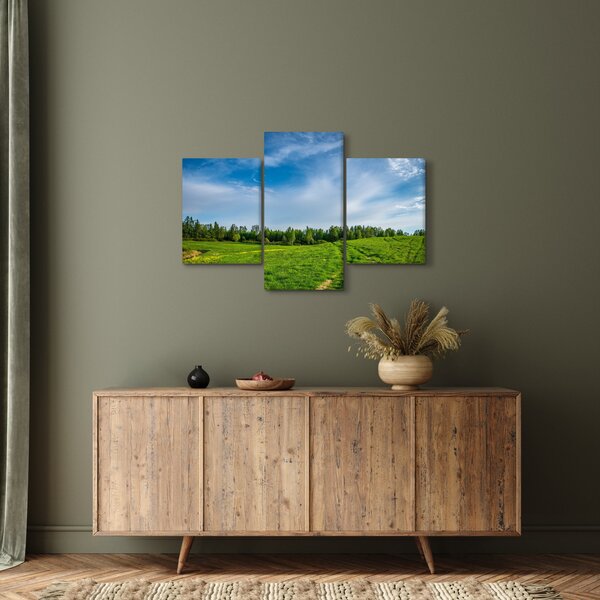 Slika livade (90x60 cm)