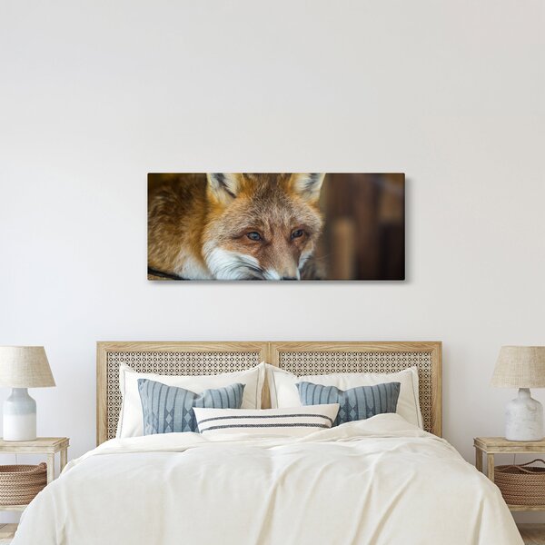 Slika lisice (120x50 cm)