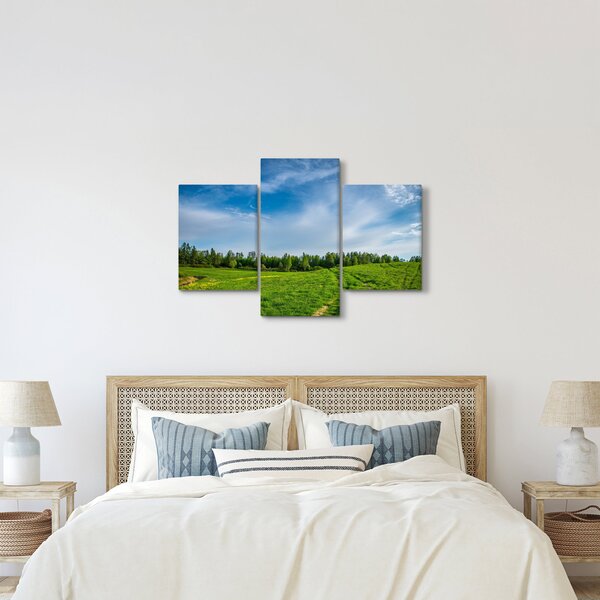 Slika livade (90x60 cm)