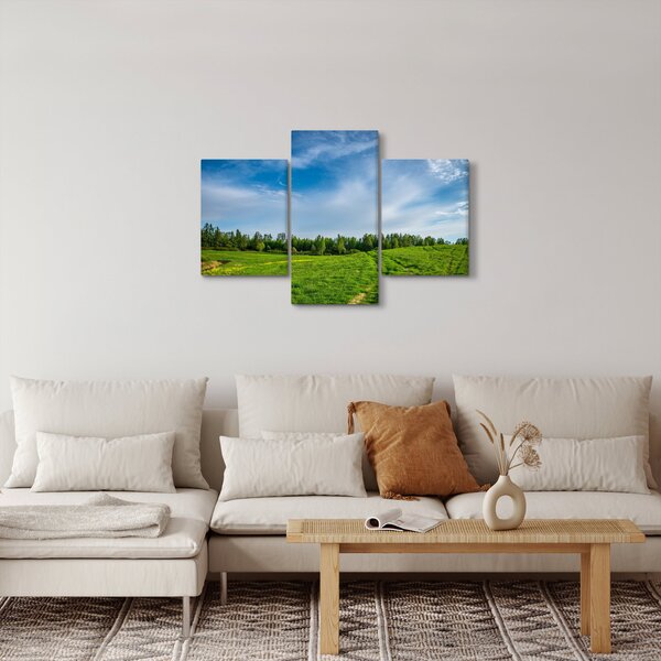 Slika livade (90x60 cm)
