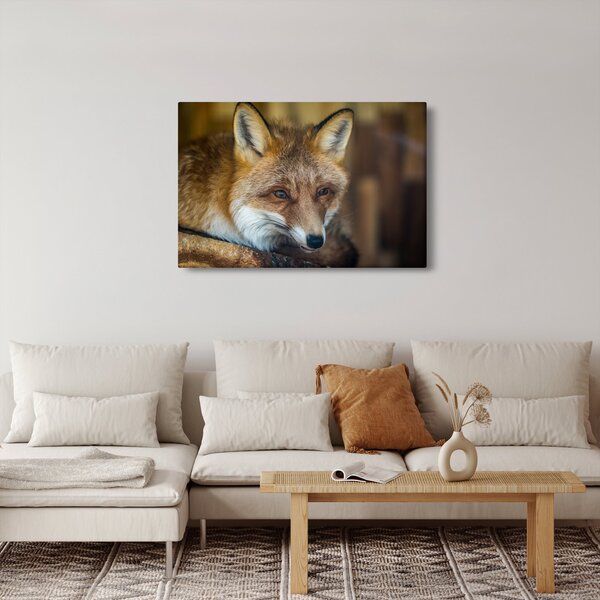 Slika lisice (90x60 cm)