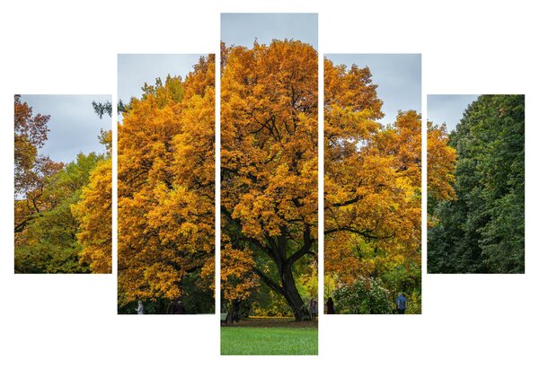 Slika stabla (150x105 cm)