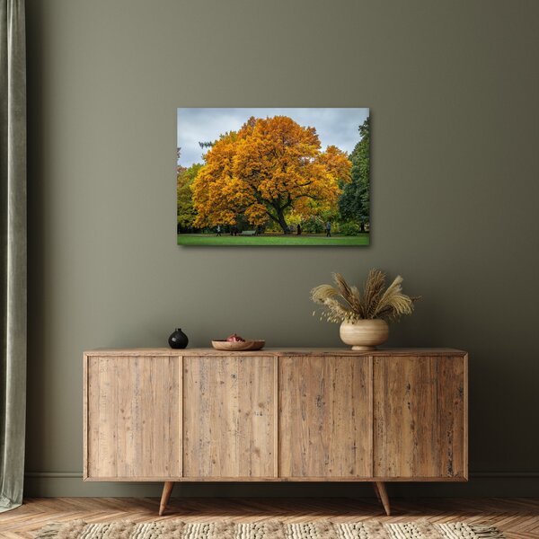 Slika stabla (70x50 cm)