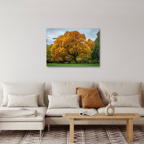 Slika stabla (70x50 cm)