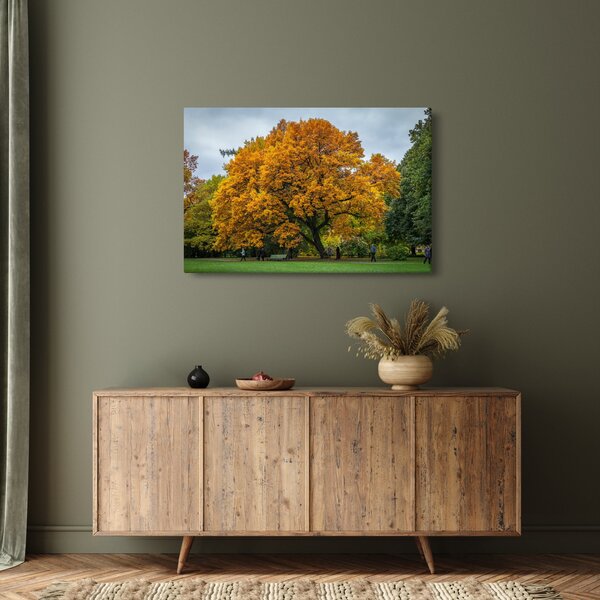 Slika stabla (90x60 cm)