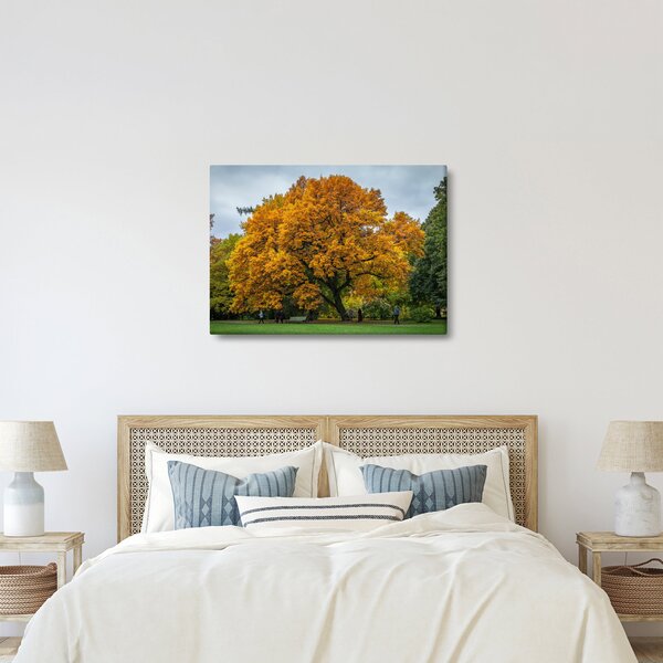 Slika stabla (70x50 cm)