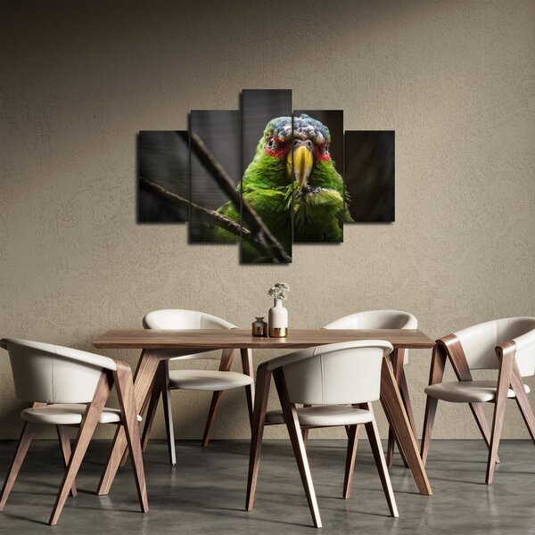 Slika papige (150x105 cm)