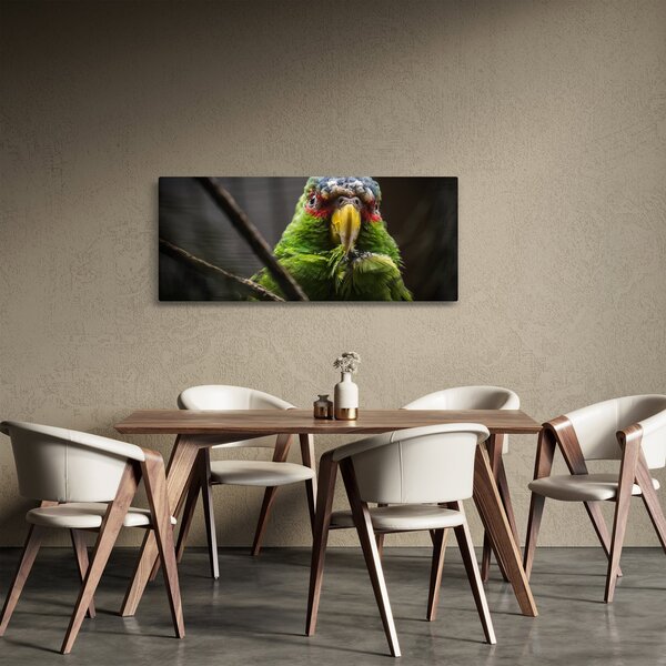 Slika papige (120x50 cm)