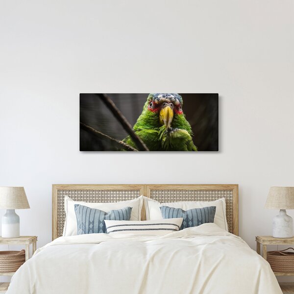 Slika papige (120x50 cm)