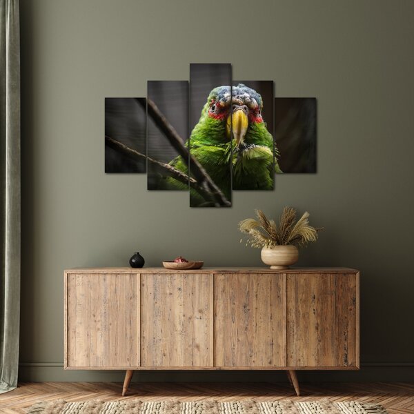 Slika papige (150x105 cm)