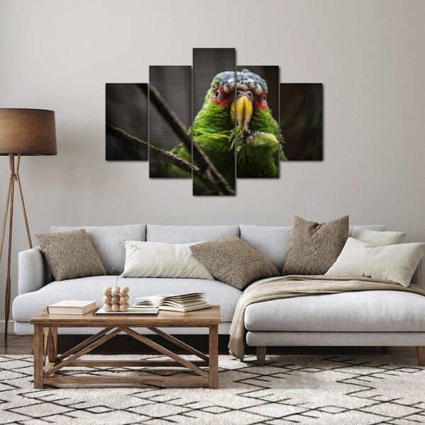 Slika papige (150x105 cm)