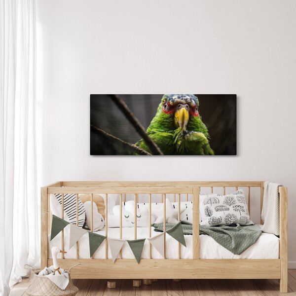 Slika papige (120x50 cm)