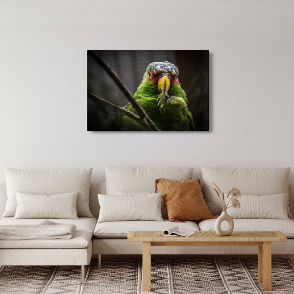 Slika papige (90x60 cm)